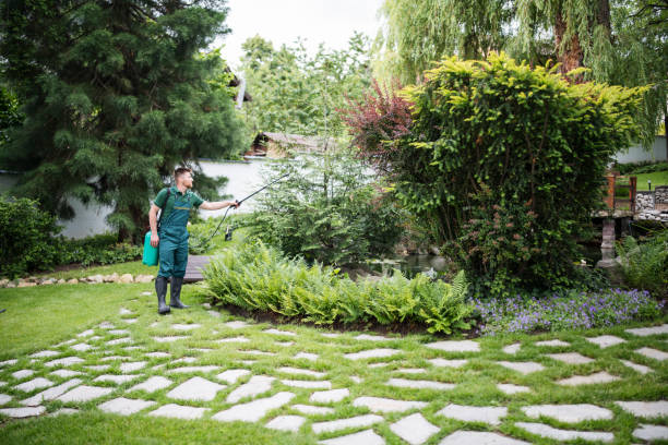 Best Affordable Pest Control Services  in Bayard, NM