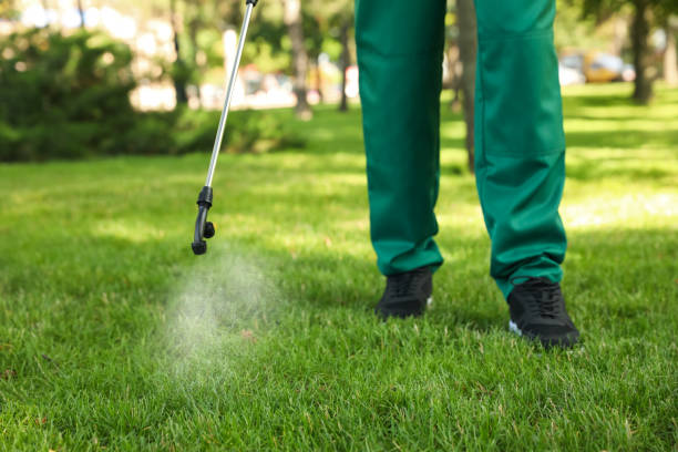 Best Pest Control for Homes  in Bayard, NM
