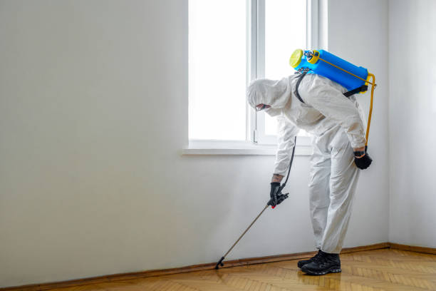 Best Pest Inspection Near Me  in Bayard, NM