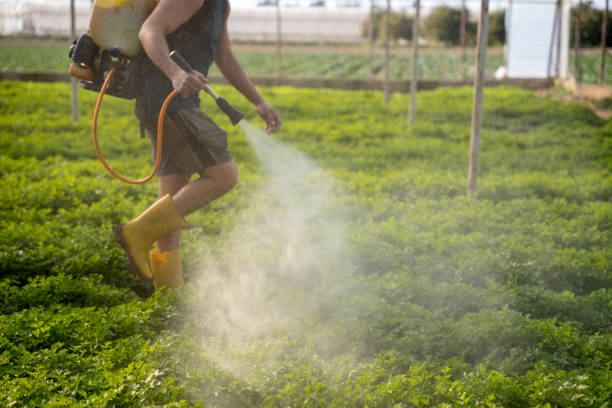 Best Commercial Pest Control Services  in Bayard, NM